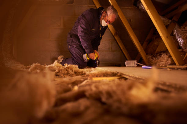 Types of Insulation We Offer in Mobile, AL